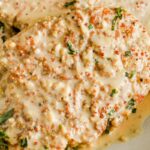 close up of a turkey cutlet with dijon sauce