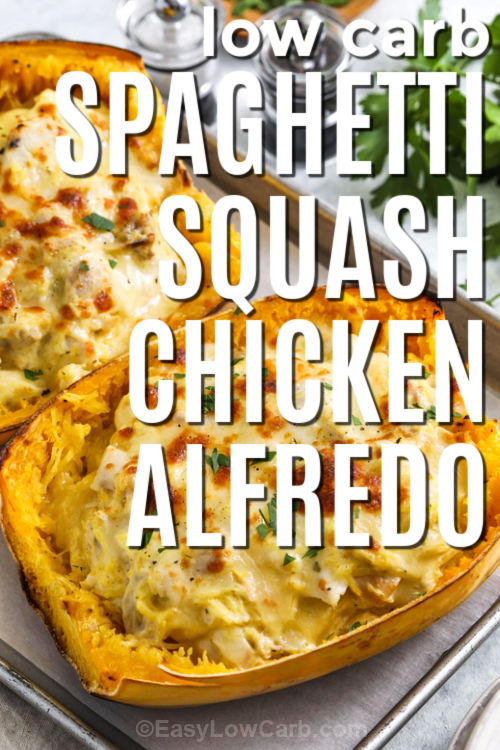 This spaghetti squash chicken Alfredo turns a classic comfort dish into a lighter, low-carb delight. The roasted spaghetti squash strands soak up creamy Alfredo sauce made with butter, garlic, cream cheese, and Parmesan. Juicy chicken adds protein, while mozzarella melts to perfection on top. Each bite is rich, savory, and satisfying without the guilt of pasta. Ideal for meal prep or cozy nights in. #easylowcarb low carb Spaghetti Squash Chicken Alfredo with writing