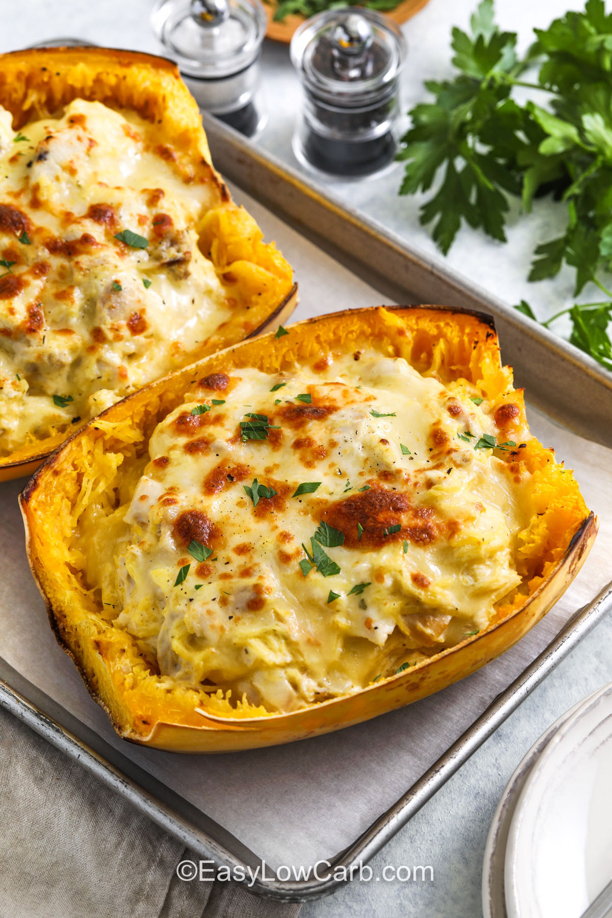 Spaghetti squash chicken Alfredo delivers creamy comfort in a lighter form. The tender strands of roasted squash pair perfectly with juicy shredded chicken and a decadent, homemade Alfredo sauce. Each serving bursts with garlic, Parmesan, and Italian seasoning flavor. Bubbly mozzarella on top gives it a golden finish, making it perfect for both weeknight dinners and special gatherings. #easylowcarb Spaghetti Squash Chicken Alfredo on a sheet pan