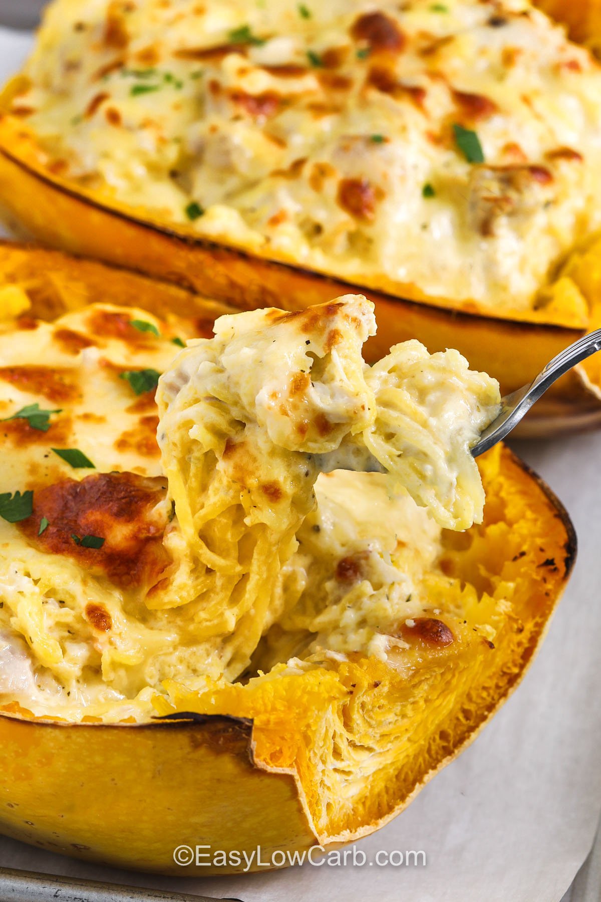 This spaghetti squash chicken Alfredo recipe combines indulgence with wholesome ingredients. Roasted spaghetti squash replaces traditional noodles for a nutrient-packed base. The velvety Alfredo sauce blends butter, cream, and Parmesan with a touch of Italian herbs. Topped with melted mozzarella and fresh parsley, it’s a flavorful, filling meal that feels luxurious yet supports a low-carb lifestyle. #easylowcarb taking a fork full of Spaghetti Squash Chicken Alfredo