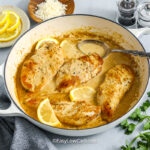 creamy lemon chicken and spoon in a dish