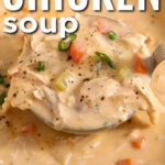 taking a ladle full of Buffalo Chicken Soup out of the pot with writing