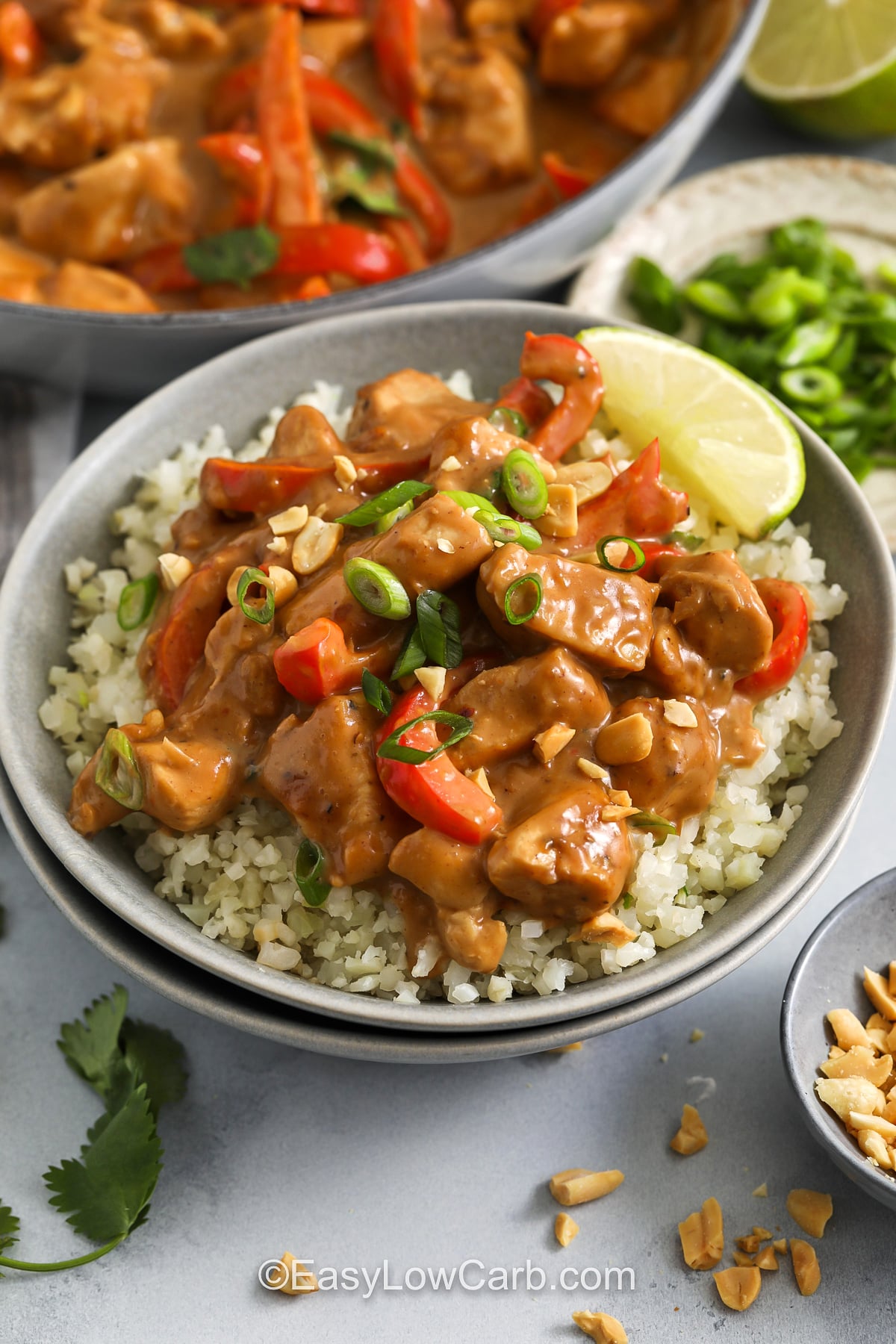 This peanut chicken recipe is a simple skillet dinner that turns chicken breast into a creamy, savory meal with coconut milk, peanut butter, lime juice, garlic, and ginger. The sauce is rich without feeling too heavy, and the red bell pepper adds a little sweetness and color. It is a great choice for a low carb dinner and tastes especially good topped with cilantro, green onions, crushed peanuts, and fresh lime. #easylowcarb plated Peanut Chicken with pan full in the back