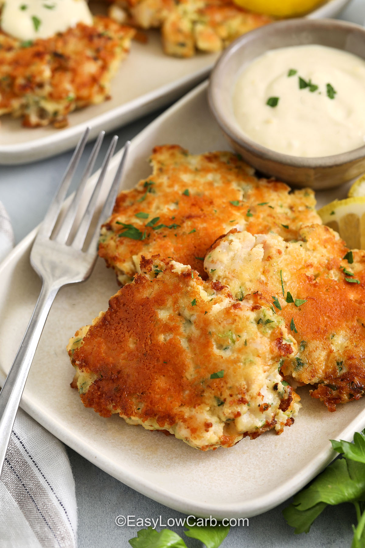 Shrimp cakes are a smart option when you want something that feels a little special without making a complicated dinner. This version uses simple ingredients, a quick chill time, and stovetop cooking for a crisp crust and juicy center. The shrimp stays the star, and the low carb ingredient list makes these especially appealing for anyone wanting a lighter seafood recipe with plenty of flavor. #easylowcarb plated Shrimp Cakes with dip