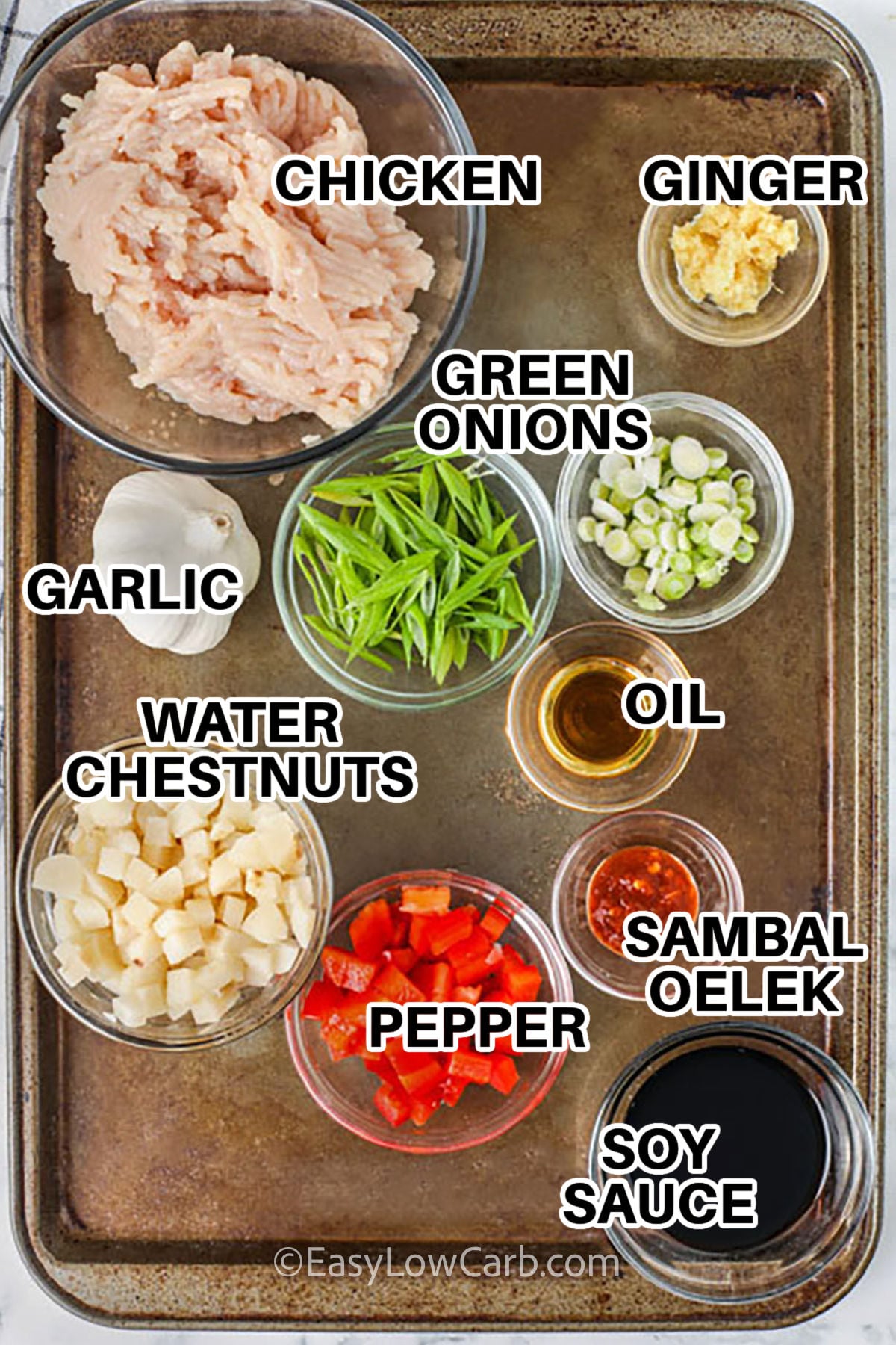 This lettuce wraps recipe makes weeknight cooking easy, fresh, and full of flavor. Ground chicken is simmered with garlic, ginger, and soy sauce for a savory filling. Crisp vegetables like bell pepper and water chestnuts add balance and crunch. Wrapped in lettuce leaves, it becomes a light and refreshing meal. Cook it tonight and bring delicious Asian flavors to your table. #easylowcarb ground chicken , ginger , green onions , garlic , water chestnuts , pepper , oil , samba oelek , soy sauce with labels Chicken Lettuce Wrap